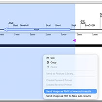SciNoteSaveFeatureThumb_moao2q Save sequence data, features and images to SciNote ELN from SeqBuilder Pro, like a primer sequence and feature arrow
